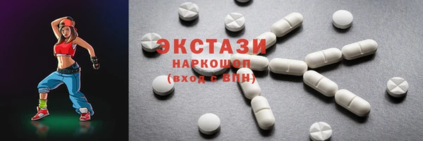 ECSTASY Богданович